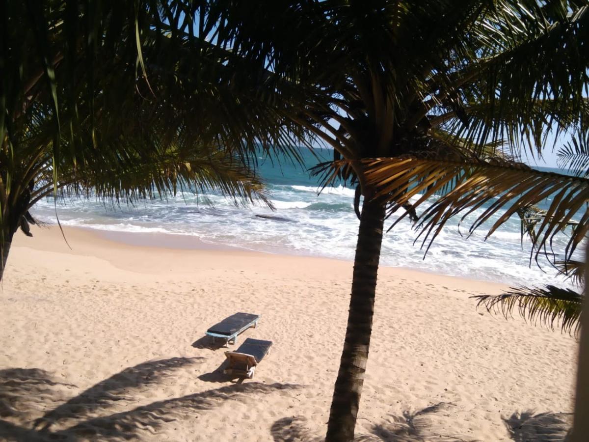 The Alpha Monkey Hotel & Tree House Tangalle Buitenkant foto