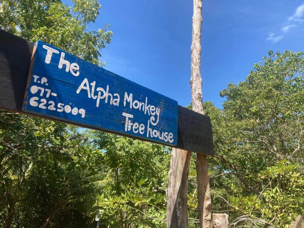 The Alpha Monkey Hotel & Tree House Tangalle Buitenkant foto