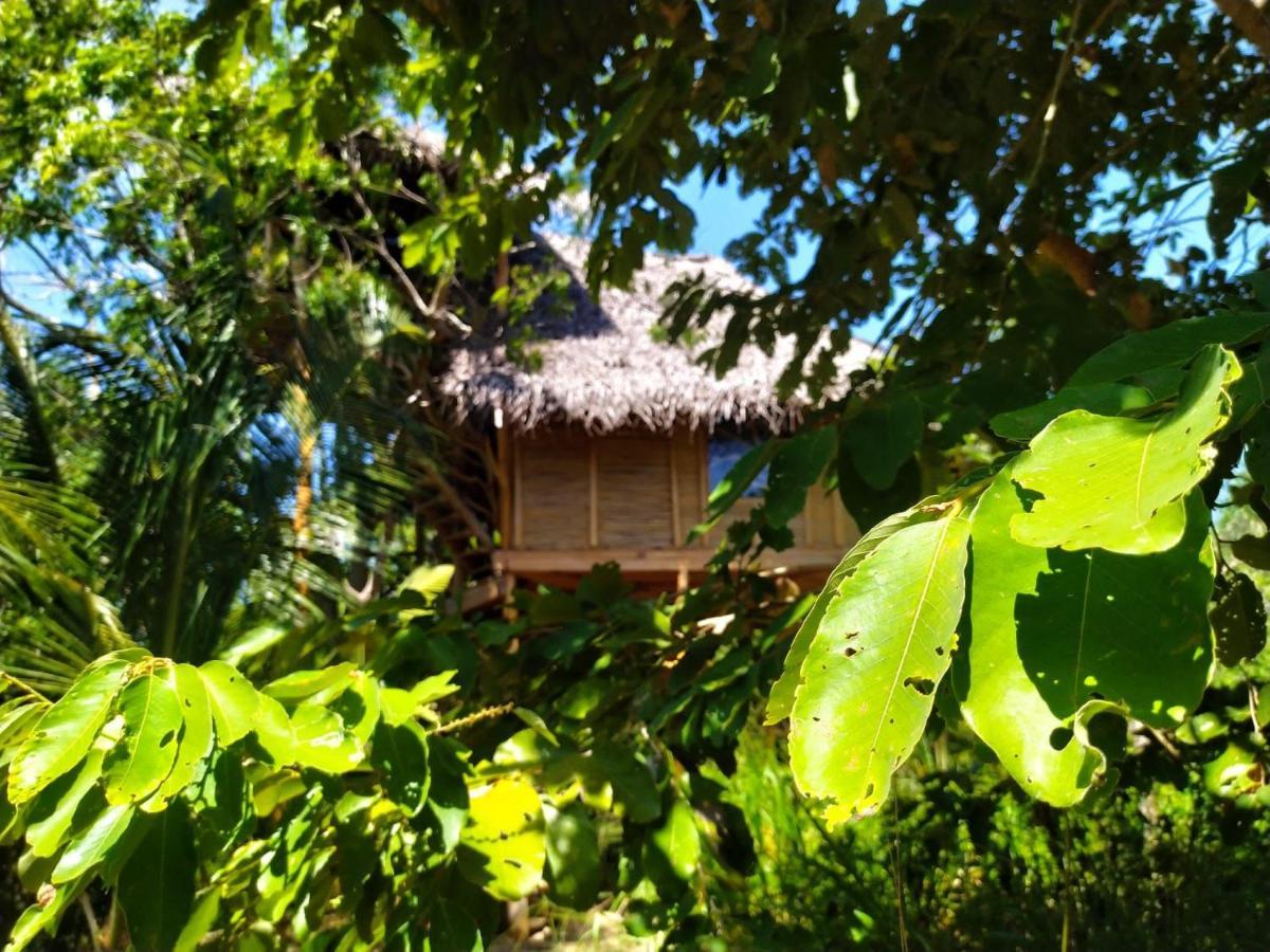 The Alpha Monkey Hotel & Tree House Tangalle Buitenkant foto