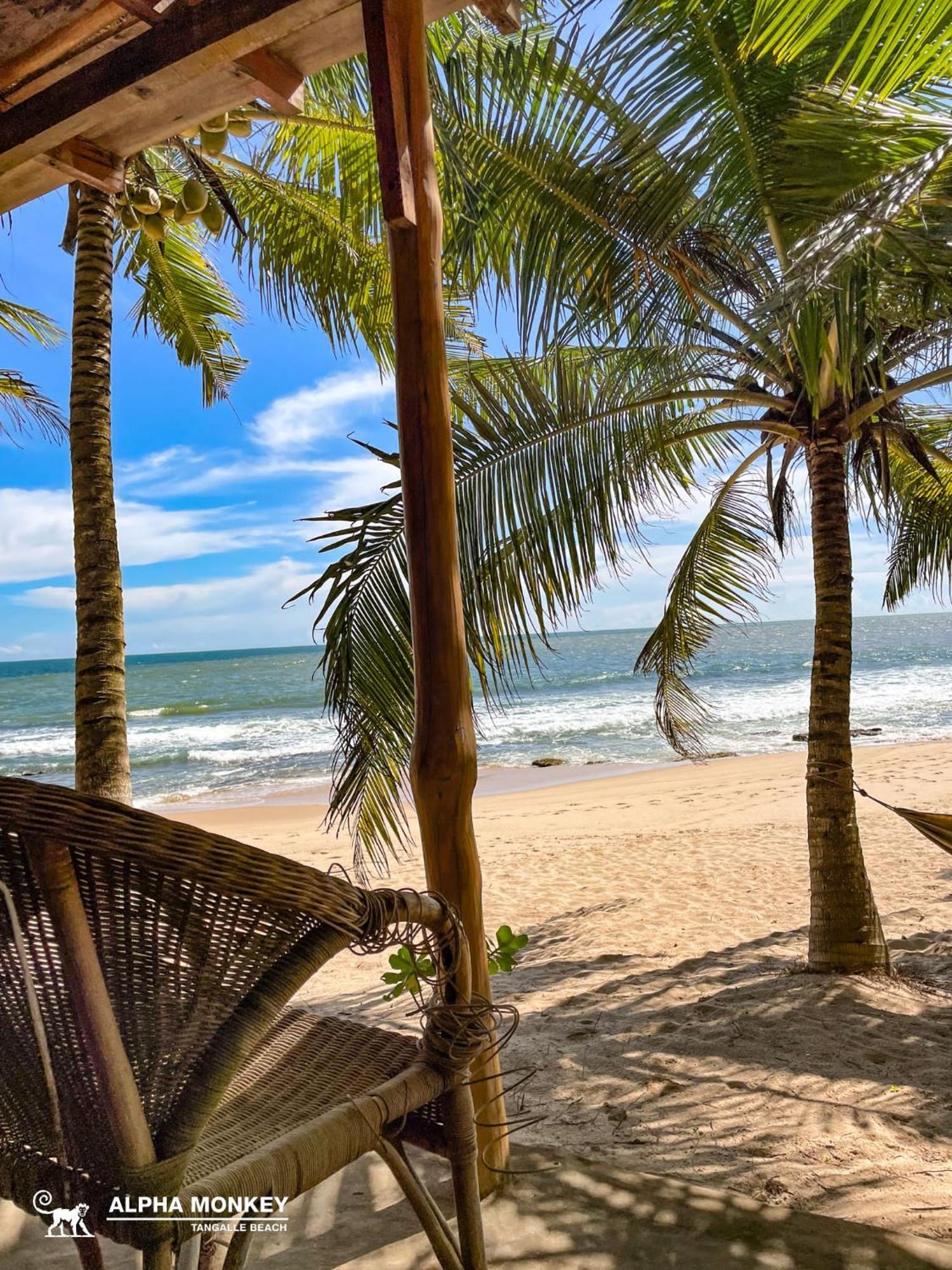 The Alpha Monkey Hotel & Tree House Tangalle Buitenkant foto