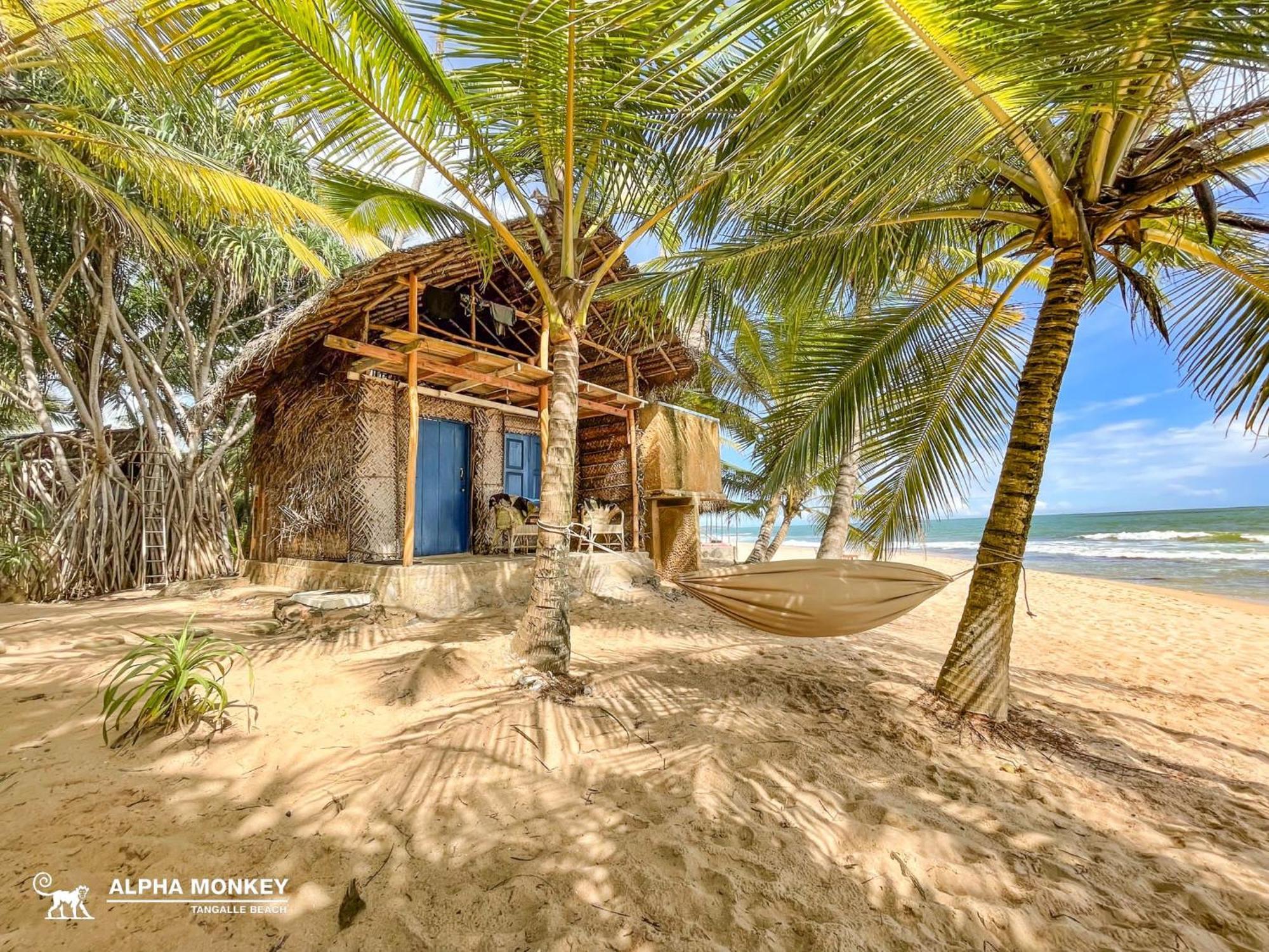 The Alpha Monkey Hotel & Tree House Tangalle Buitenkant foto