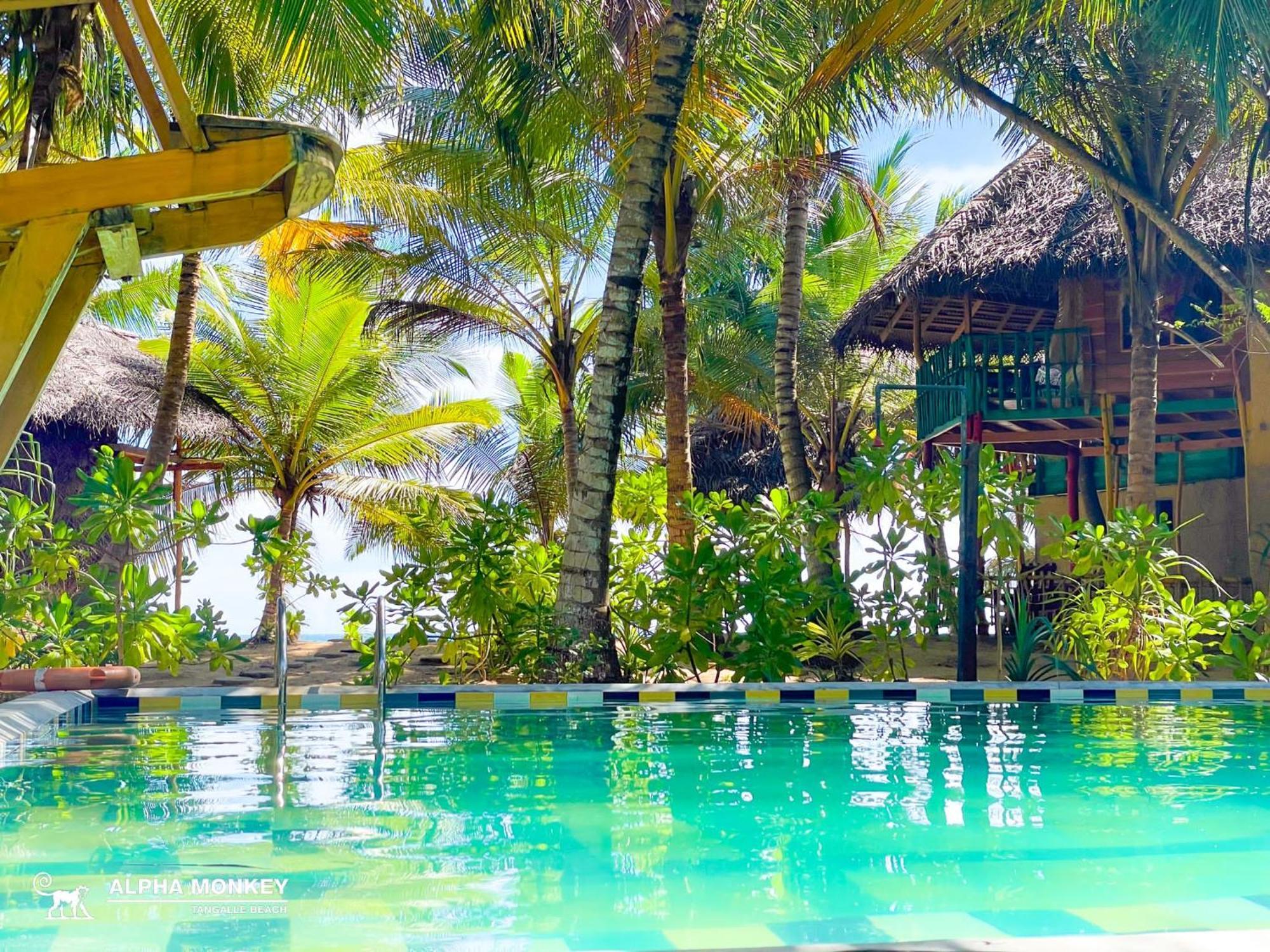 The Alpha Monkey Hotel & Tree House Tangalle Buitenkant foto