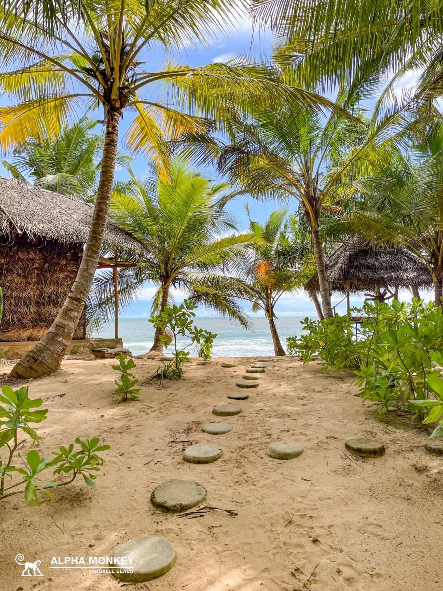 The Alpha Monkey Hotel & Tree House Tangalle Buitenkant foto