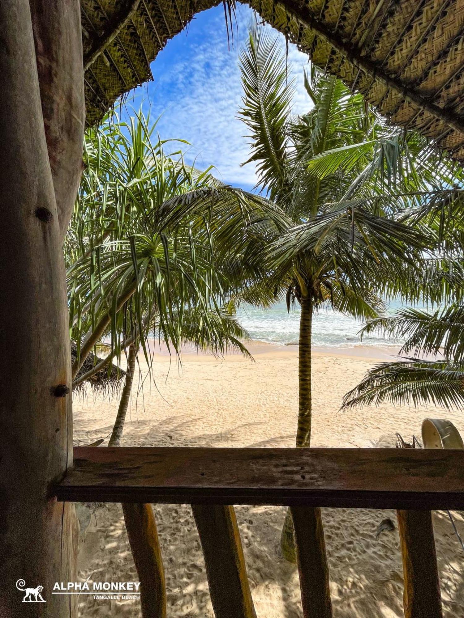 The Alpha Monkey Hotel & Tree House Tangalle Kamer foto
