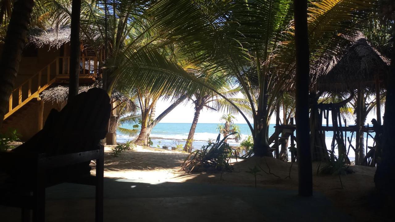 The Alpha Monkey Hotel & Tree House Tangalle Buitenkant foto