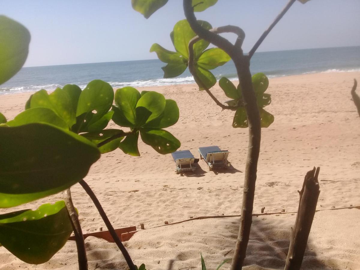 The Alpha Monkey Hotel & Tree House Tangalle Buitenkant foto